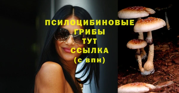 мяу мяу мука Алексеевка