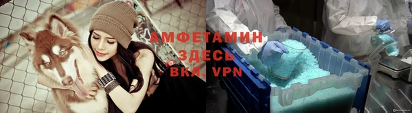 шишки Алексин