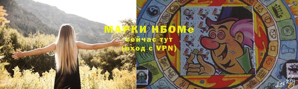 шишки Алексин