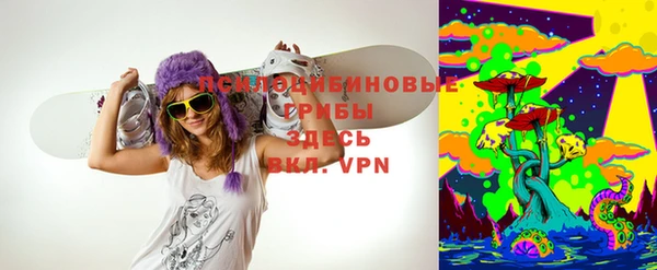 МДПВ Алзамай